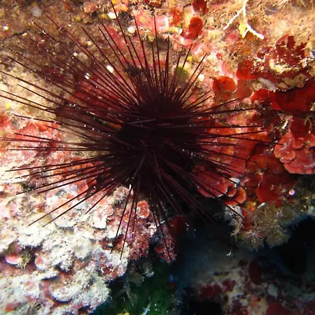 Oriente 3* 산 니콜라 아르첼라