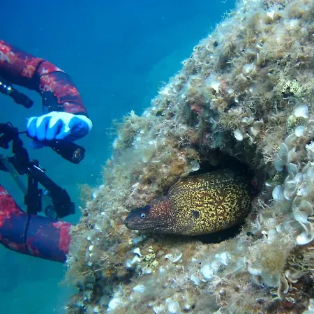 게스트하우스 Oriente