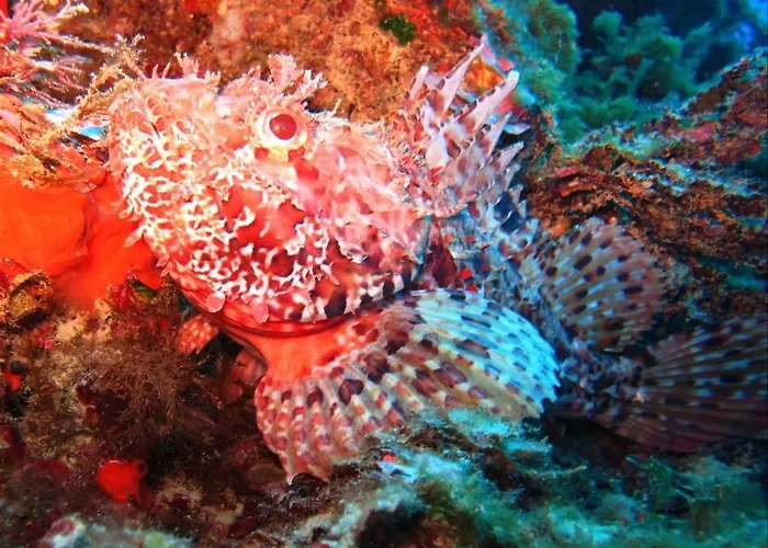 Oriente Maison d'hôtes