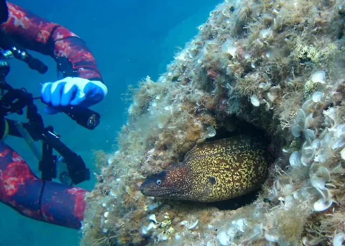 Maison d'hôtes Oriente